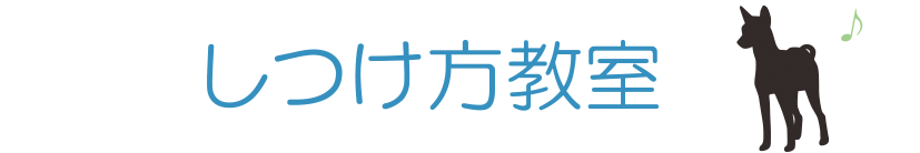 しつけ方教室