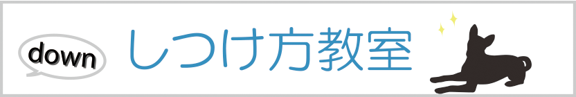 しつけ方教室